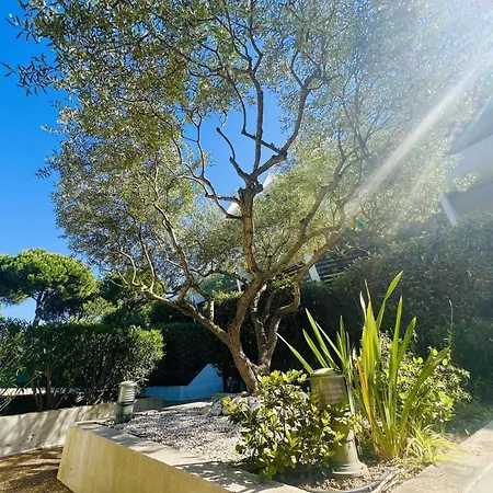 Apartment Villegiales Tee1 - Climatise Dans Avec Piscine Mae-1104 La Grande-Motte