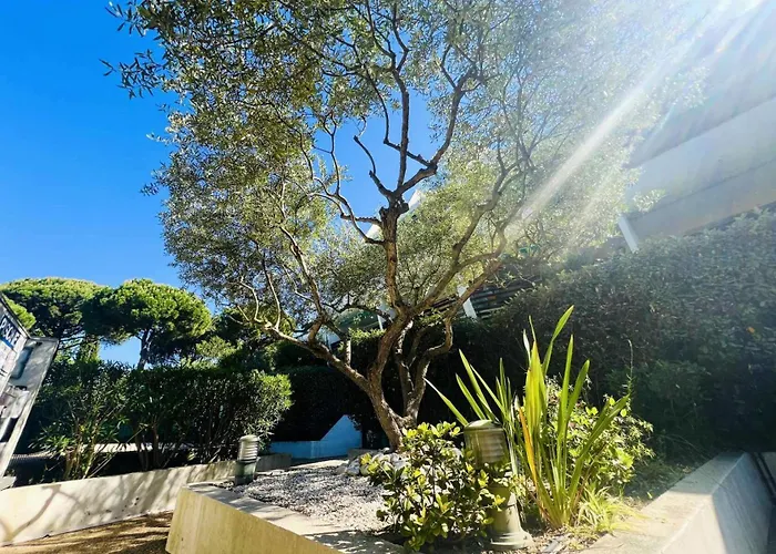 Villegiales Tee1 - Climatise Dans Avec Piscine Mae-1104 Apartman La Grande-Motte